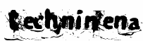TechnineNA