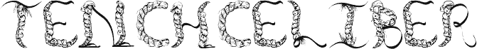 TenCHCeliber