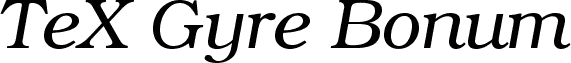 TeXGyreBonum-Italic