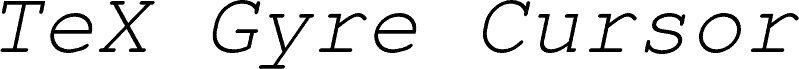 TeXGyreCursor-Italic