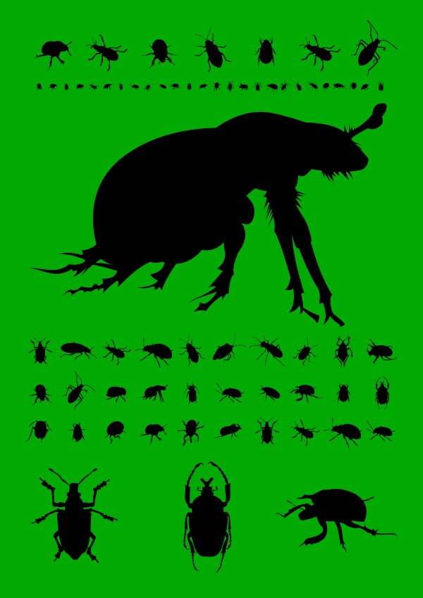 The Beetles Carattere