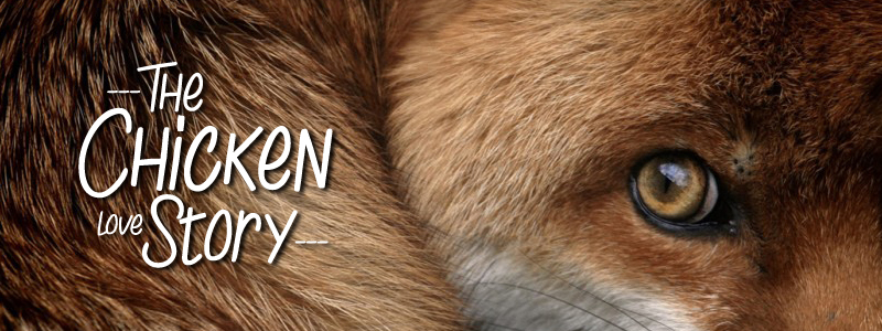 The Chicken love Story 字体