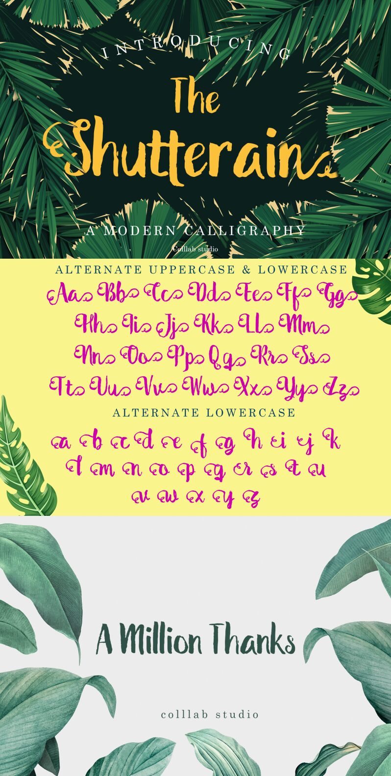 The Shutterain Font