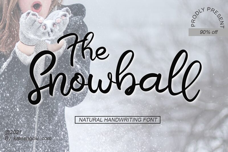 The Snowball — Présentation de la police
