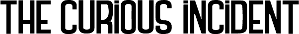 THE CURIOUS INCIDENT