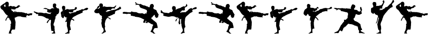 The Karate Do ST