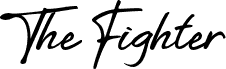 TheFighter