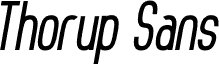 Thorup Sans Bold Italic