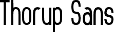 Thorup Sans Bold