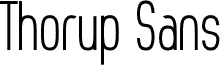Thorup Sans Regular