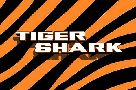 Tigershark Outline font | Fonts2u.com