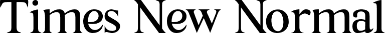 Times New Normal Regular