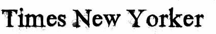 Times New Yorker