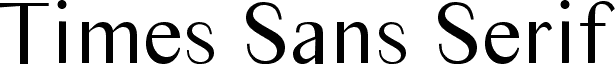 Times Sans Serif