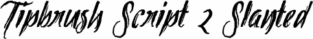 Tipbrush Script 2 Slanted