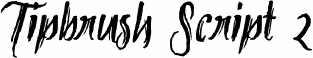 Tipbrush Script 2