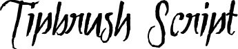 Tipbrush Script