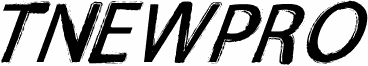 TNEWPRO NormalItalic