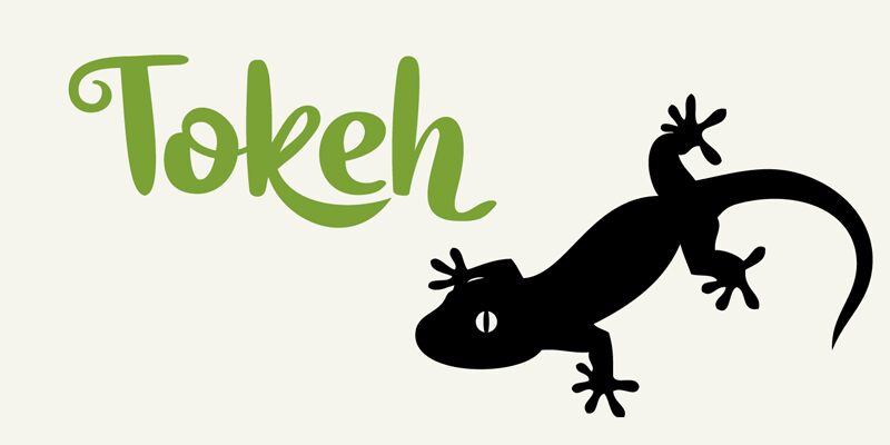 Tokeh Schriftart