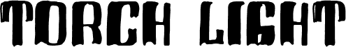 Torch Light