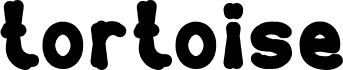 tortoise