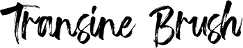 Transine  Brush Regular