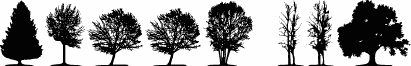trees TFB
