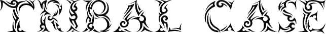 Tribalcase
