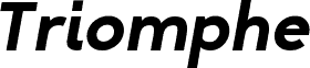 Triomphe Bold Italic