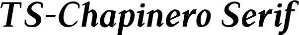 TS-Chapinero Serif Medium Italic