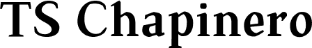 TS-Chapinero-Serif Medium