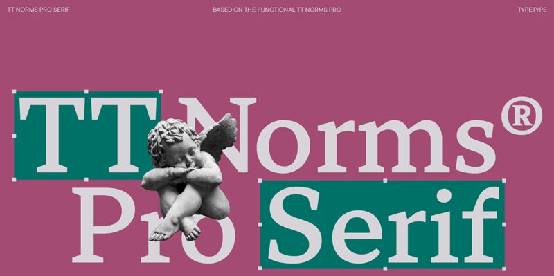 TT Norms Pro Serif Fonte