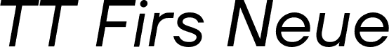 TT Firs Neue Trial Var Italic