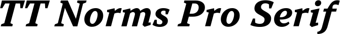 TT Norms Pro Serif Trl Bd It