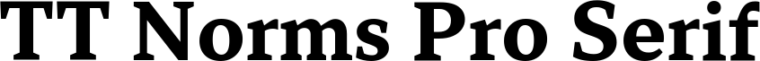 TT Norms Pro Serif Trl Bd