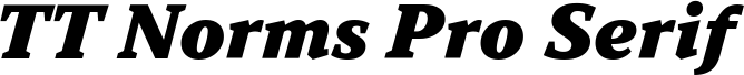 TT Norms Pro Serif Trl Blc It