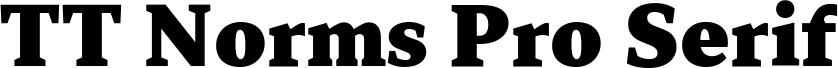 TT Norms Pro Serif Trl Blc