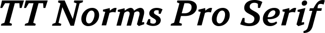 TT Norms Pro Serif Trl Db It