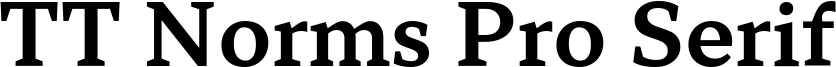 TT Norms Pro Serif Trl Db