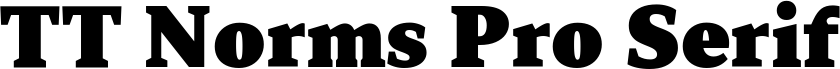 TT Norms Pro Serif Trl ExtraBlc