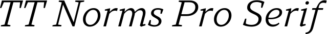 TT Norms Pro Serif Trl It