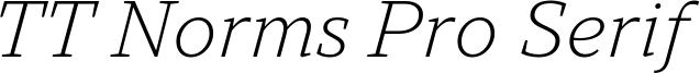 TT Norms Pro Serif Trl Lt It