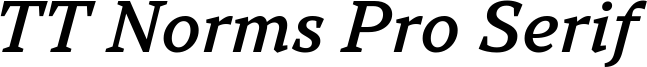 TT Norms Pro Serif Trl Md It