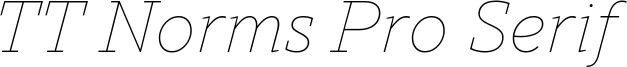 TT Norms Pro Serif Trl Th It