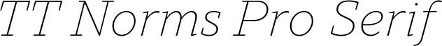TT Norms Pro Serif Trl XLt It