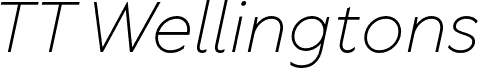 TT Wellingtons Trl Light It