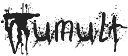 Tumult Regular