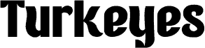 Turkeyes DEMO