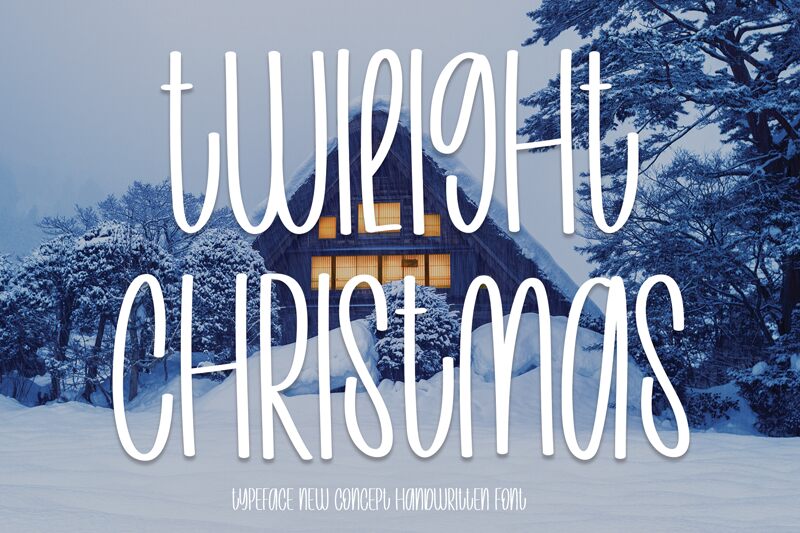 Twilight Christmas Police