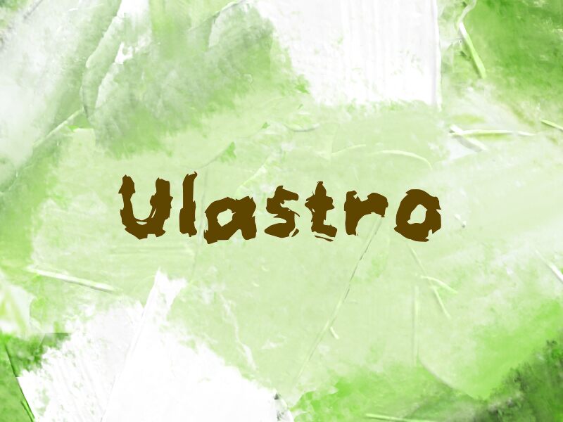 Ulastro — Présentation de la police